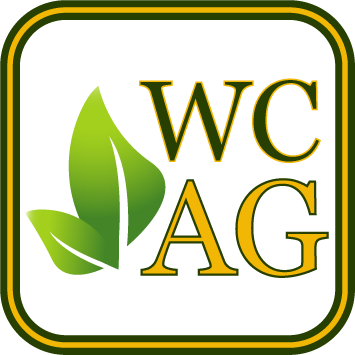 WCA Logo_Submark_Artboard 1@3x